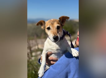 Auri möchte Teil eurer Familie werden