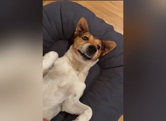 Auri möchte Teil eurer Familie werden