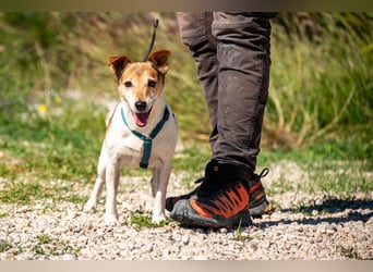 Auri möchte Teil eurer Familie werden