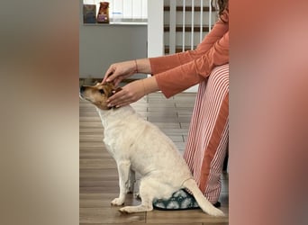 Auri möchte Teil eurer Familie werden