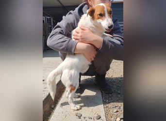 Coco ❤️ verschmuster, lieber Einzelprinz