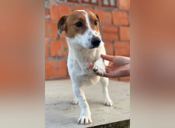 Coco ❤️ verschmuster, lieber Einzelprinz