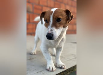 Coco ❤️ verschmuster, lieber Einzelprinz