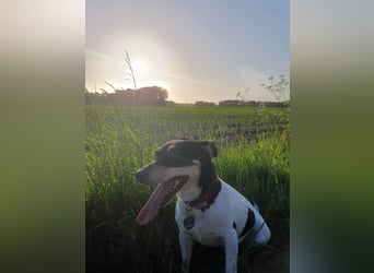 Elli, 9 Jahre, 30cm sucht neues Zuhause