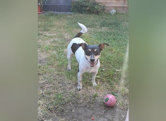 Elli, 9 Jahre, 30cm sucht neues Zuhause