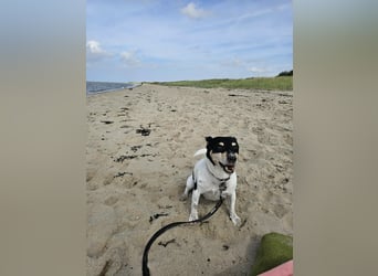 Elli, 9 Jahre, 30cm sucht neues Zuhause