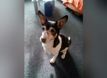 Buffy braucht dringend ein neues Zuhause