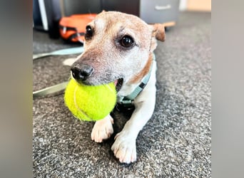 Kiko - ist verspielt&energiegeladen