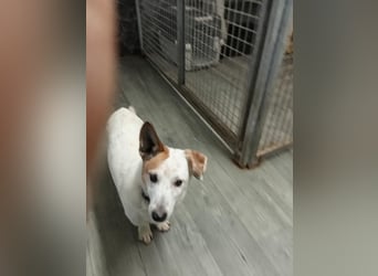 PATTY & BOGA suchen zusammen ein Zuhause