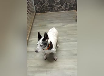 PATTY & BOGA suchen zusammen ein Zuhause