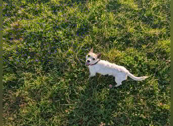 Elly  kleiner lebensfroher Sonnenschein aus 08548