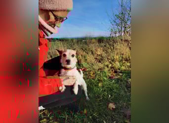 Elly  kleiner lebensfroher Sonnenschein aus 08548