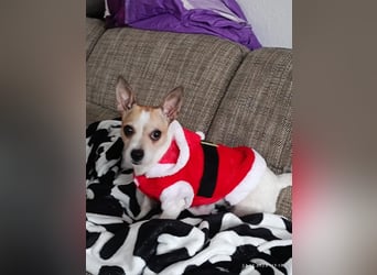 Elly  kleiner lebensfroher Sonnenschein aus 08548