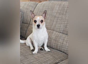 Elly  kleiner lebensfroher Sonnenschein aus 08548