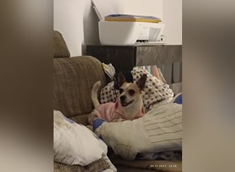 Elly  kleiner lebensfroher Sonnenschein aus 08548