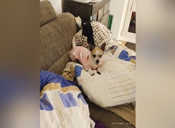 Elly  kleiner lebensfroher Sonnenschein aus 08548