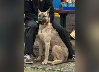 Császár von kettenlos