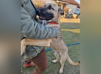 Császár von kettenlos