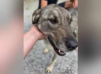 Matty eine gebrochene Seele