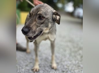 Matty eine gebrochene Seele