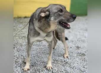 Matty eine gebrochene Seele