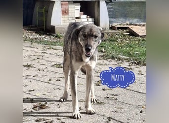 Matty eine gebrochene Seele