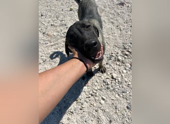 Sweetie Winnie sucht forever Home❤️