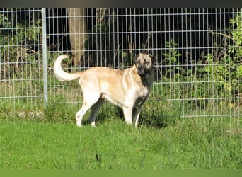 Hugo sucht ein neues Zuhause