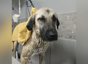 Fenna ein Prachtexemplar