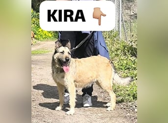 Kira wünscht sich eine liebvolle Familie