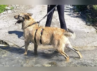 Kira wünscht sich eine liebvolle Familie