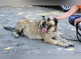 Kira wünscht sich eine liebvolle Familie