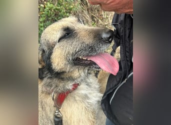 Kira wünscht sich eine liebvolle Familie