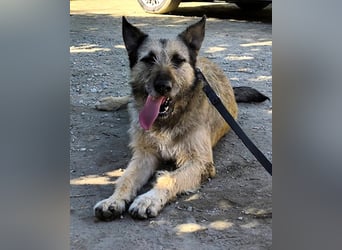 Kira wünscht sich eine liebvolle Familie