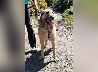 Kira wünscht sich eine liebvolle Familie