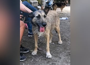 KIRA wünscht sich eine liebevolle Familie