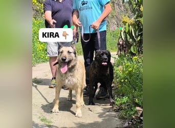 Kira wünscht sich eine liebvolle Familie