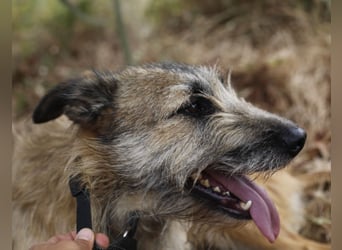 GOLFO sucht sensible Menschen