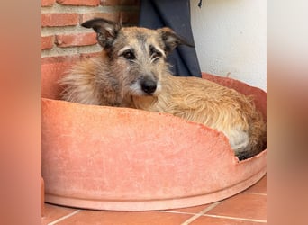 GOLFO sucht sensible Menschen