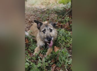 GOLFO sucht sensible Menschen