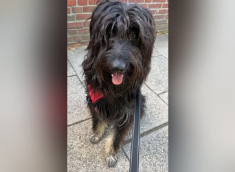 Munterer OSKAR sucht aktive Menschen