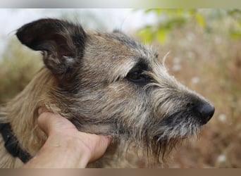 GOLFO sucht sensible Menschen