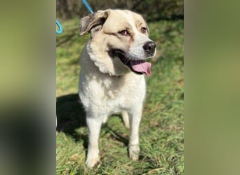 HEIDI 2 ist eine Schönheit