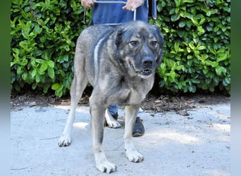 Margherito - Das gestohlene Leben