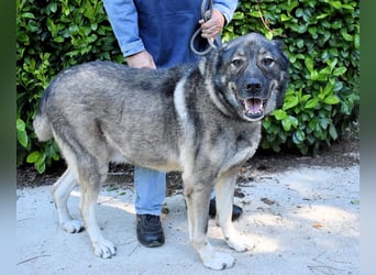 Margherito - Das gestohlene Leben