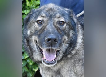 Margherito - Das gestohlene Leben