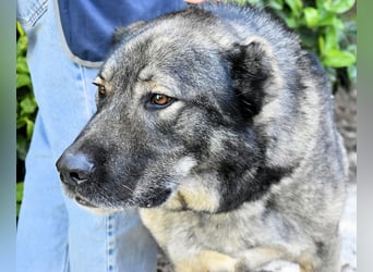 Margherito - Das gestohlene Leben