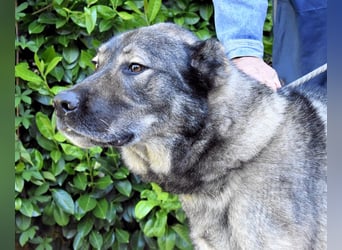 Margherito - Das gestohlene Leben