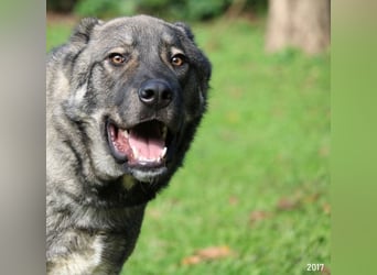 Margherito - Das gestohlene Leben