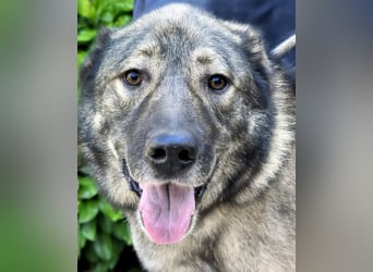 Margherito - Das gestohlene Leben